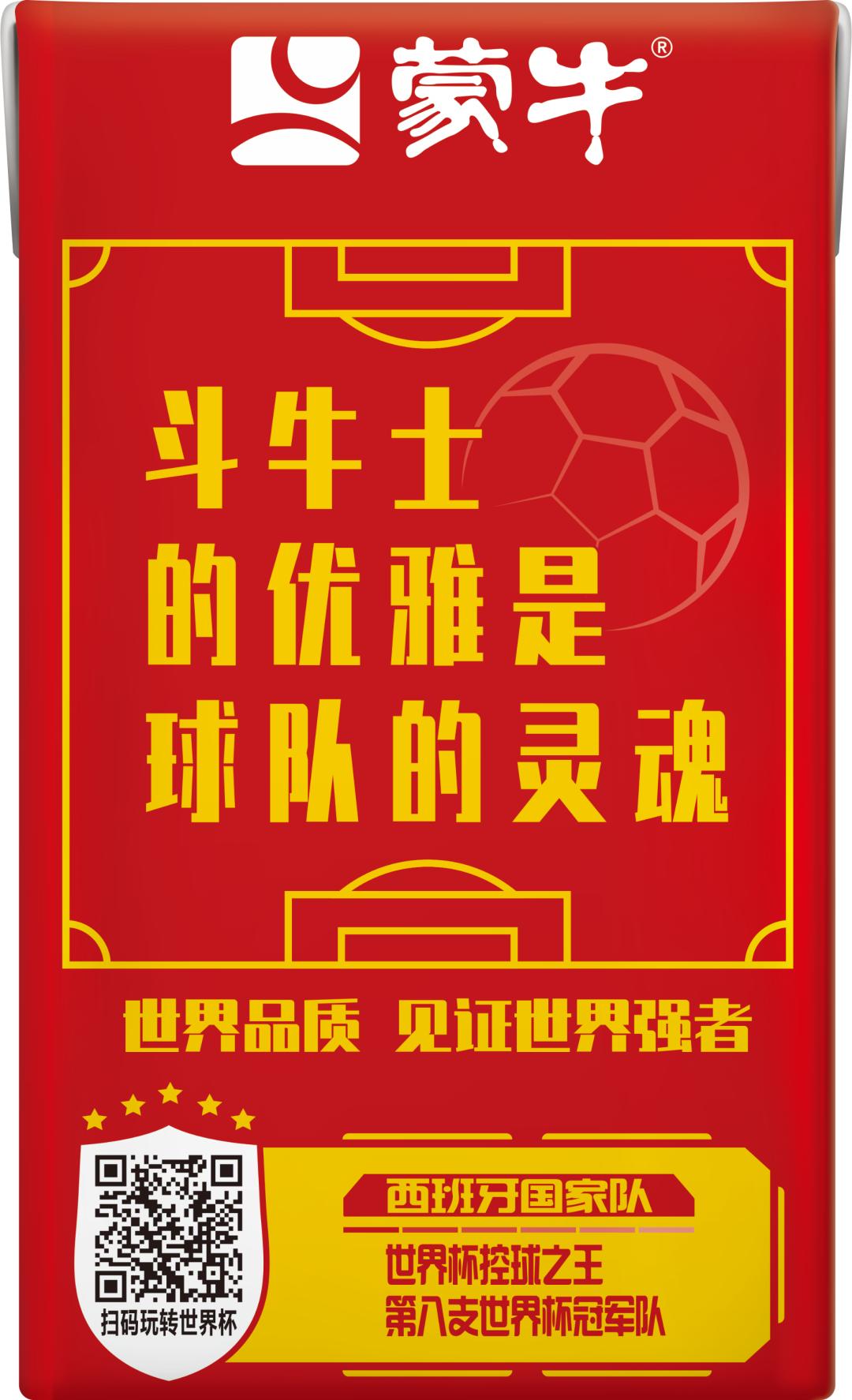 世界杯队长纪录片b站,国家队队长的故事