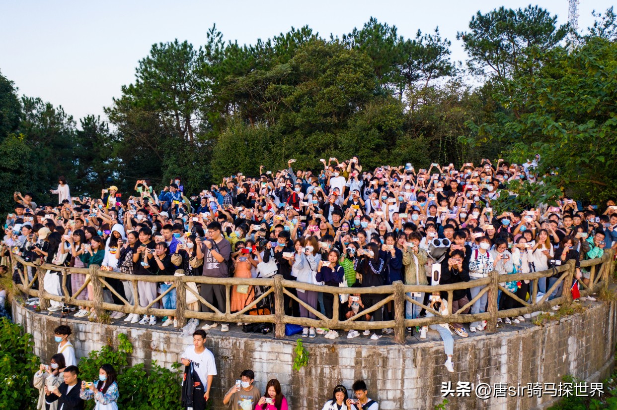 武汉青龙山森林公园,武汉青龙山森林公园大门