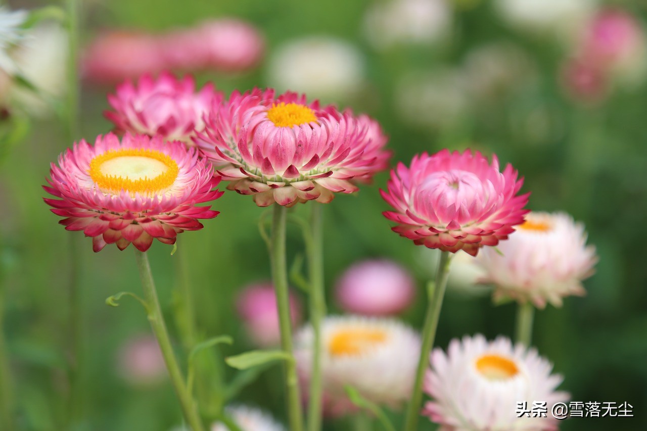 嫁错人了不要回头,女人可以走错路但不能嫁错人