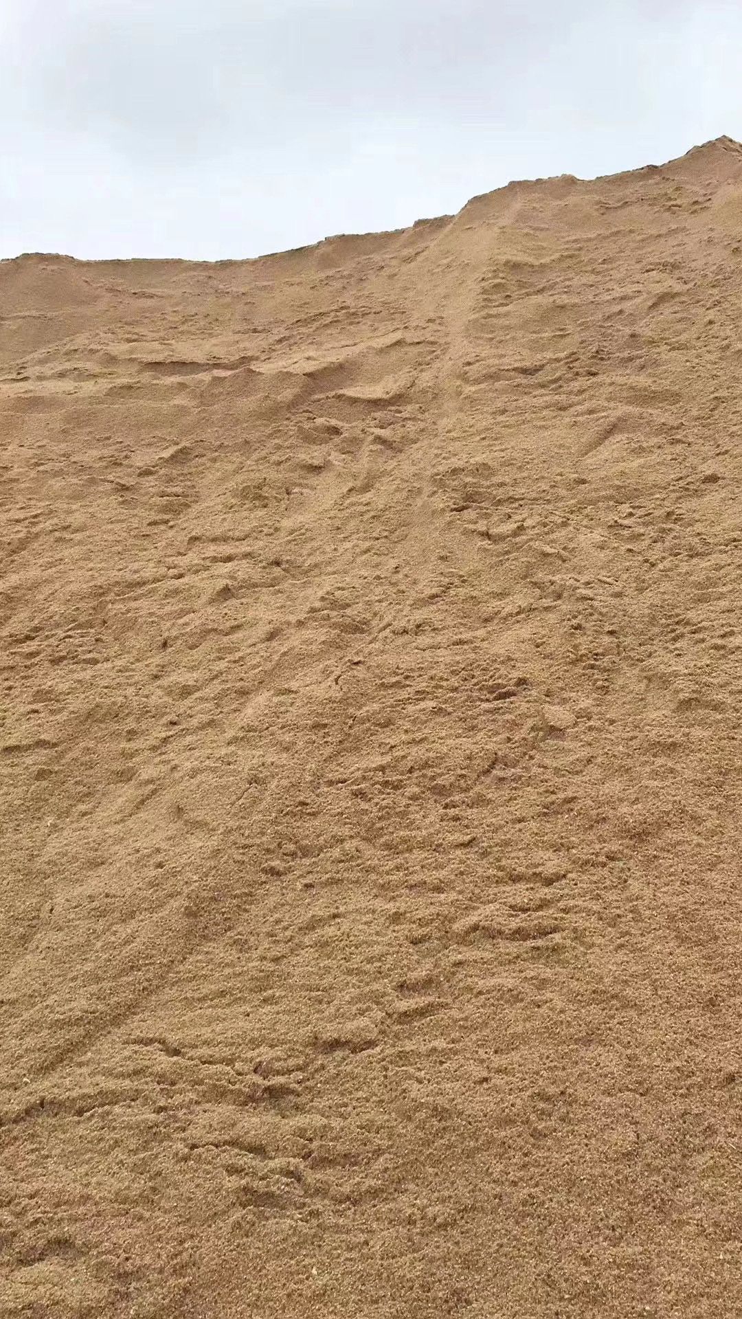 河沙为啥那么贵,中国哪个地方河沙最贵