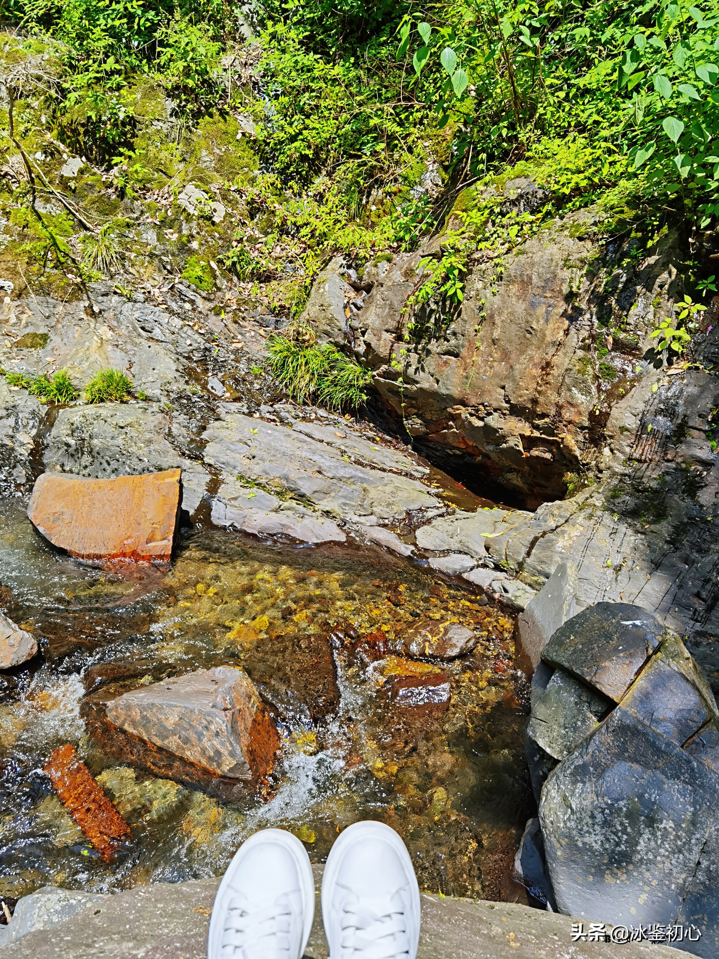 鍦ㄧ壇鐗涢檷鎷嶇殑瑙嗛,鍦ㄧ壇鐗涢檷鐜╃殑璇磋