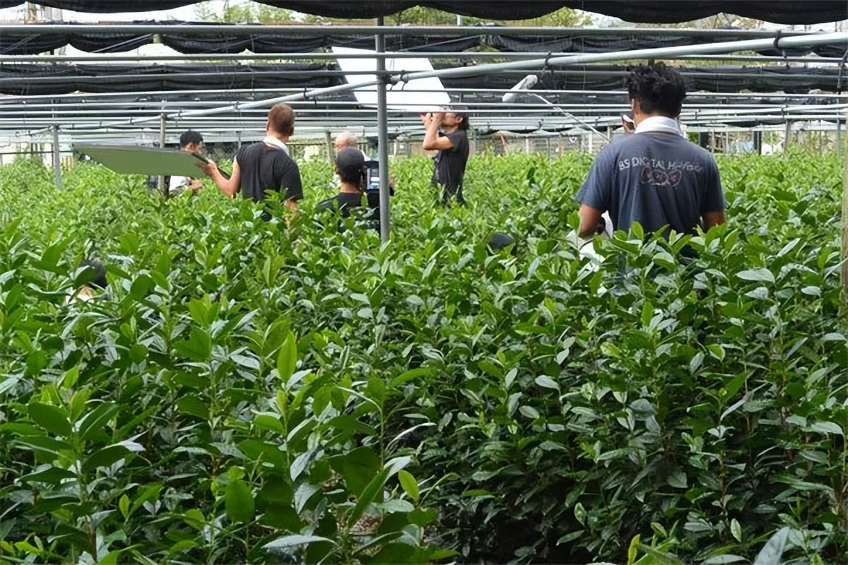 日本特色小镇,日本小镇特色产品