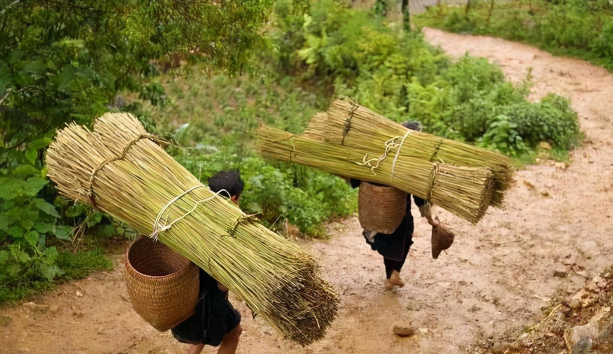 望人什么意思,农村俗语三十望子四十望财