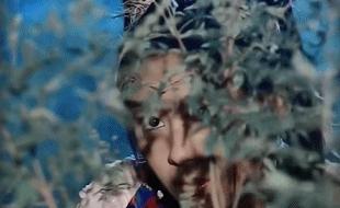 用“房地产思维”拍戏的娱乐公司，连拍21部烂剧，害惨多少新星