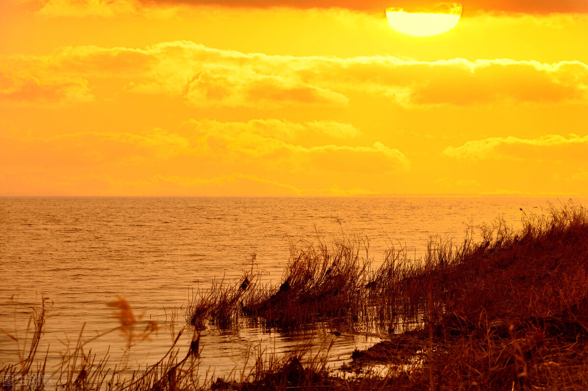 团泊湖湖景,团泊西湖景色