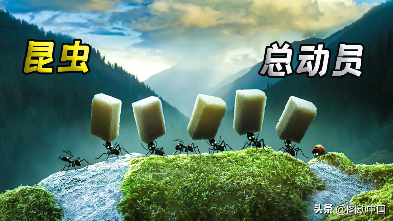 词根词缀全部掌握词汇量,词缀速记3500单词书