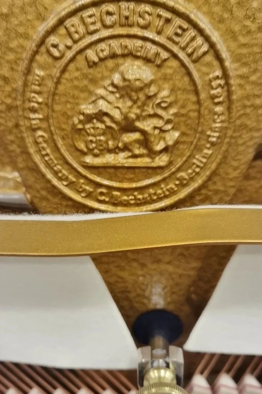 实木顶杆和ABS塑料哪个好？尚音琴行告诉您