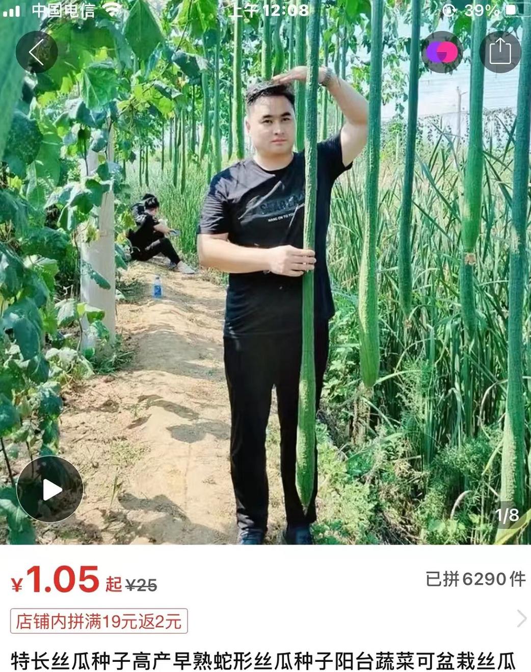 拼夕夕的海报推荐,拼夕夕ins风海报