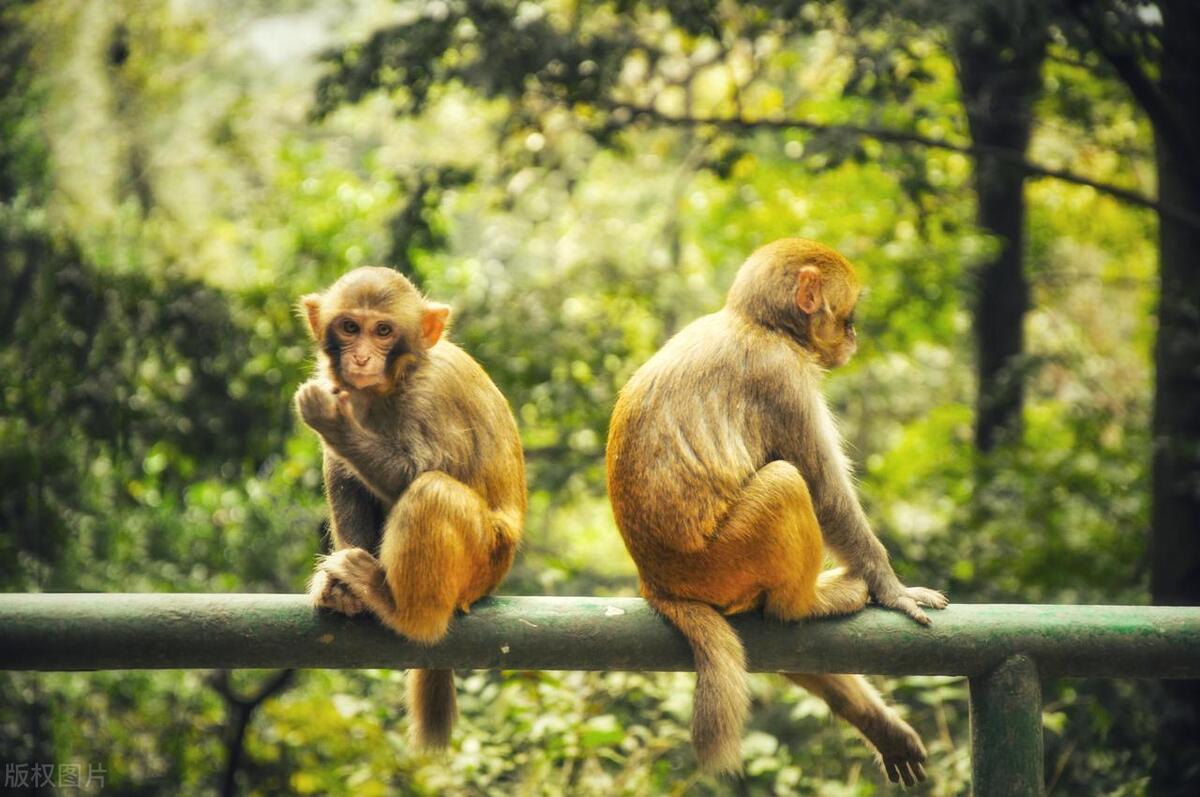 贵州十大旅游景点地图全图,去贵州玩必去的景点推荐一下