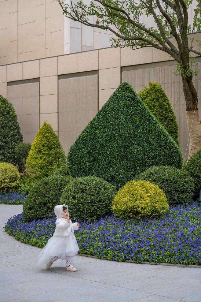 那些被我们忽略的风景,球球景观