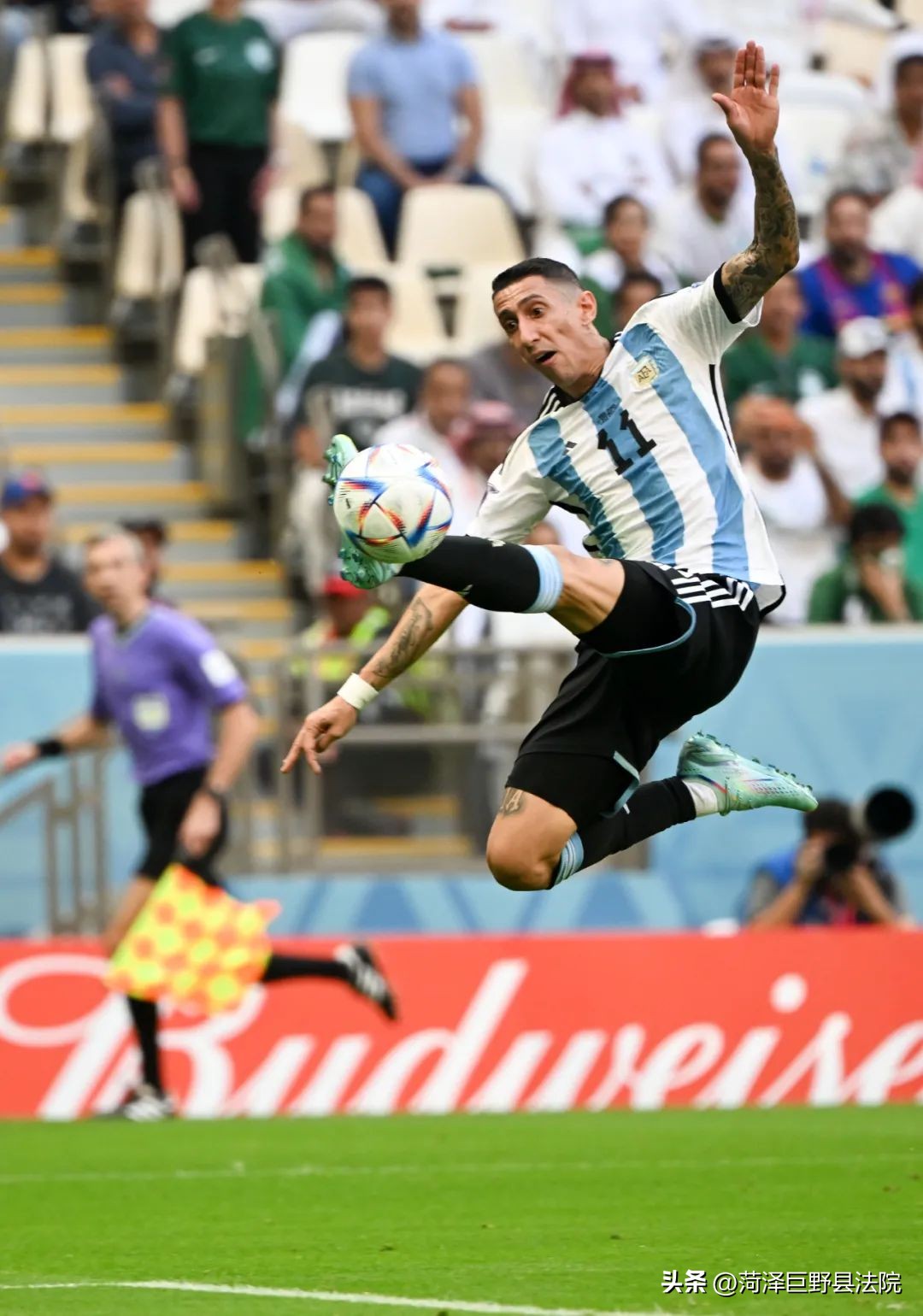 爆冷后阿根廷会如何排兵布阵,爆冷阿根廷啥意思