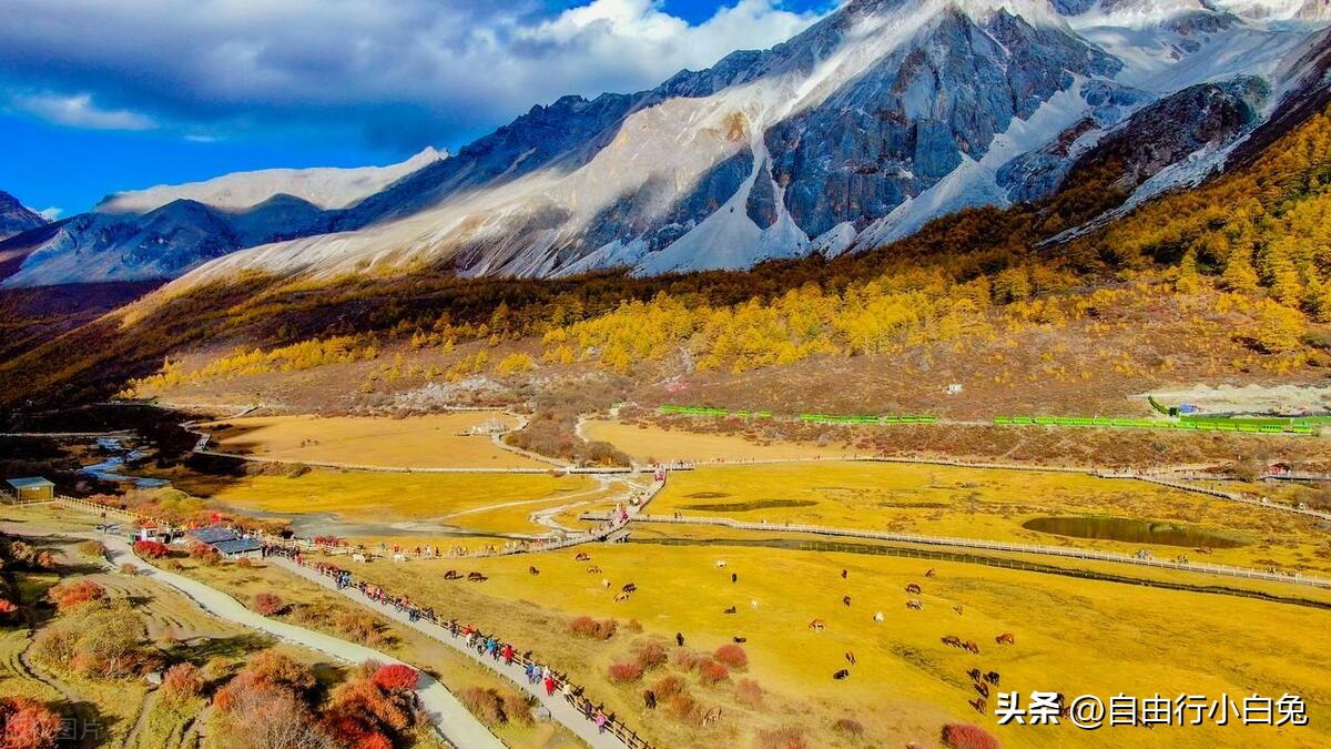 稻城亚丁自然保护区旅游攻略,稻城亚丁秘境视频