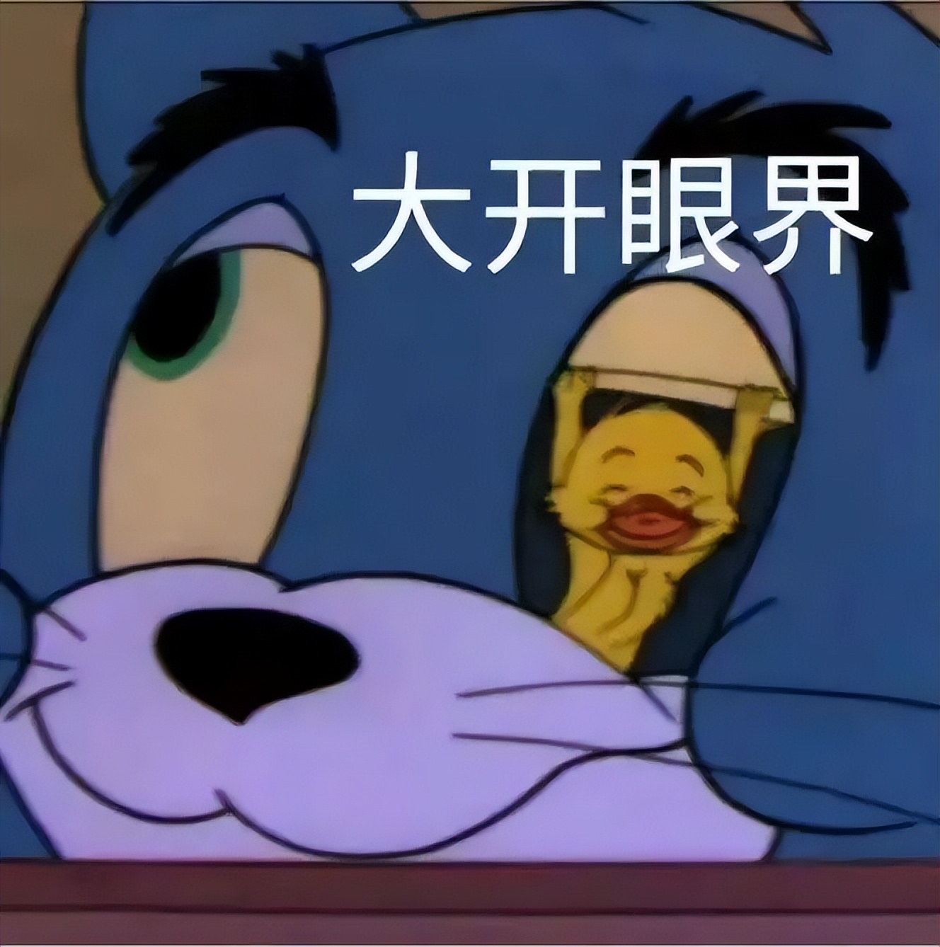 155微胖小个子连衣裙500多的,155微胖女生连衣裙2件套小碎花