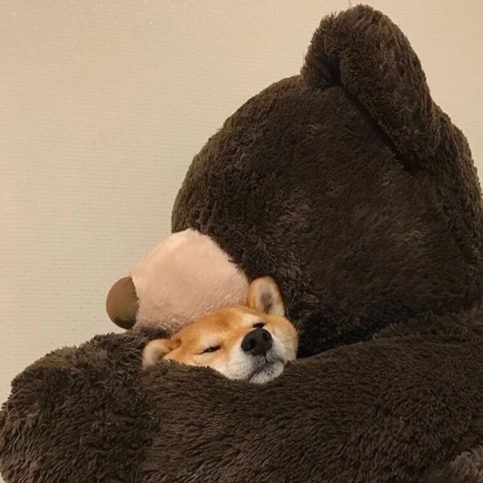 男生女生头像库,男生女生头像动漫合在一起的