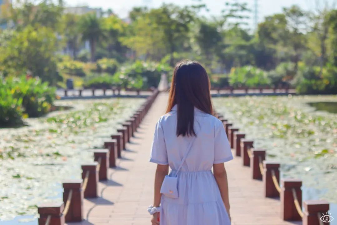 深圳九条最美绿道图片,这些深圳绿道骑出你的美