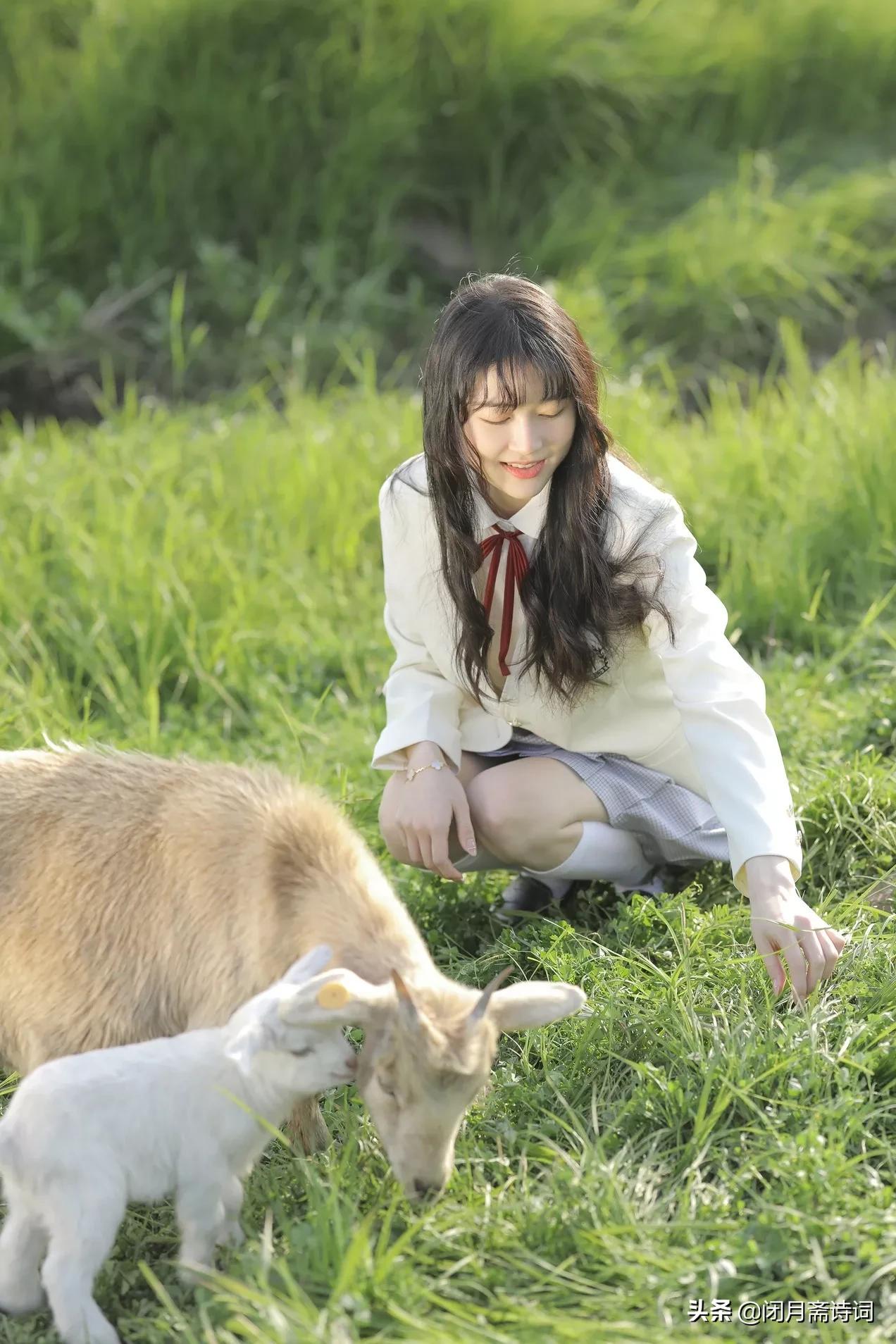 七律遣怀二十首诗,七律雪夜遣怀