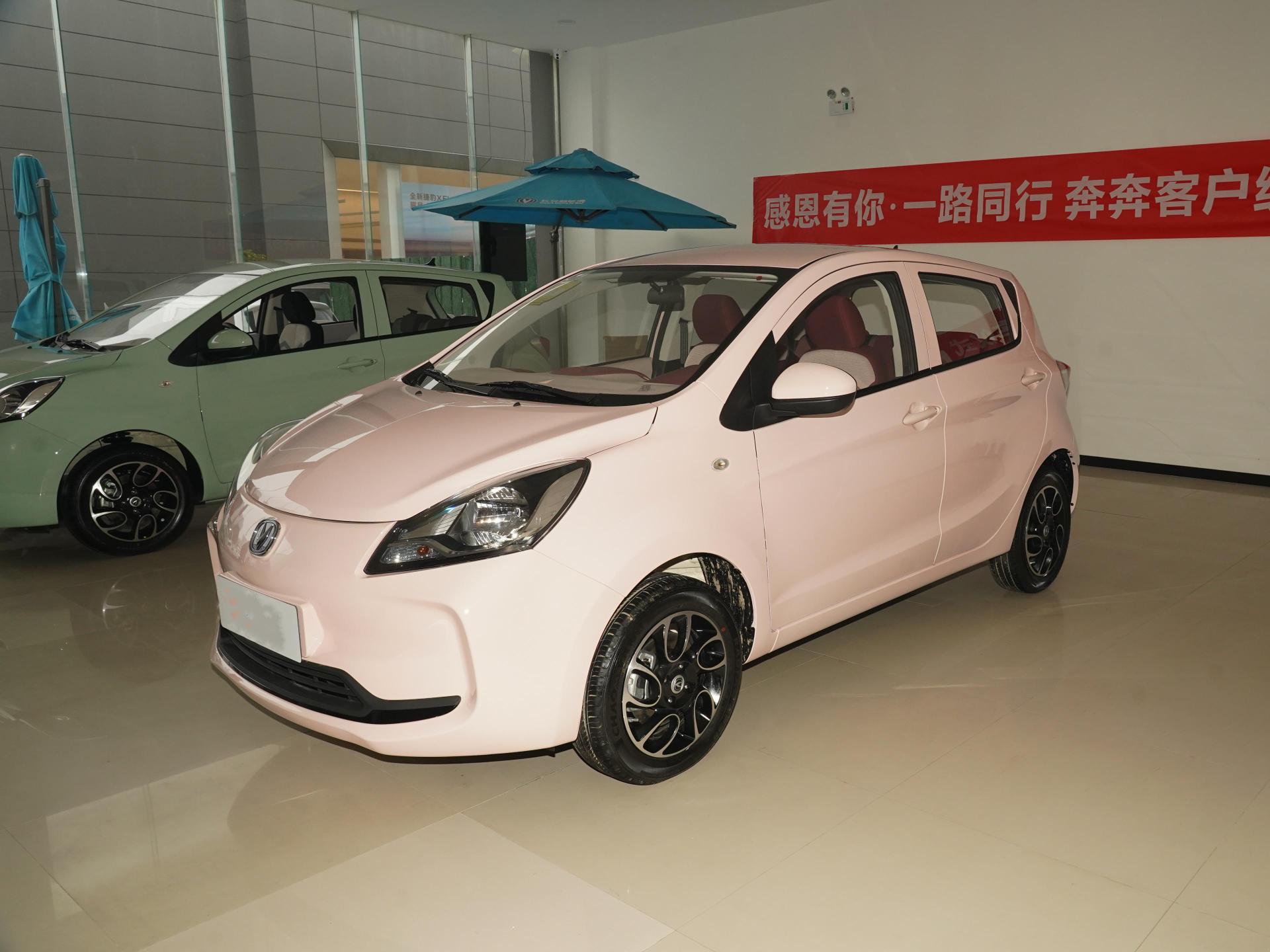 提车长安奔奔e-star国民版,长安奔奔e-star国民版2021提车