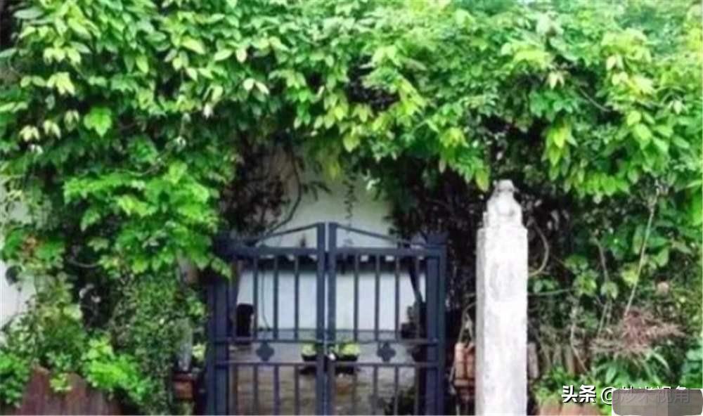 农村俗语墙上加墙家败人亡啥意思,俗话说墙倒众人推