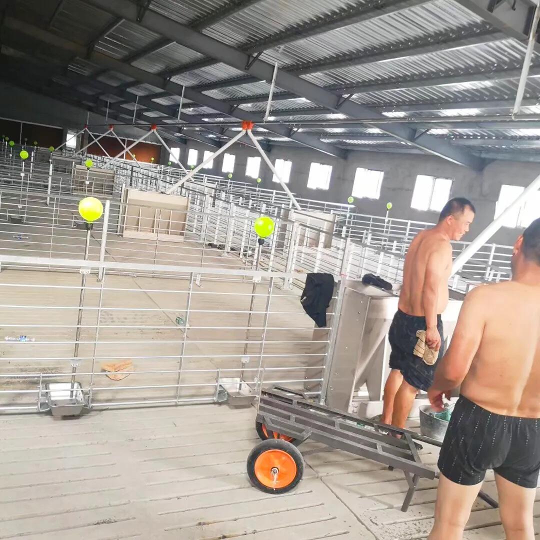 学兽医研究生就业前景,学兽医有出路吗一般兽医月薪多少