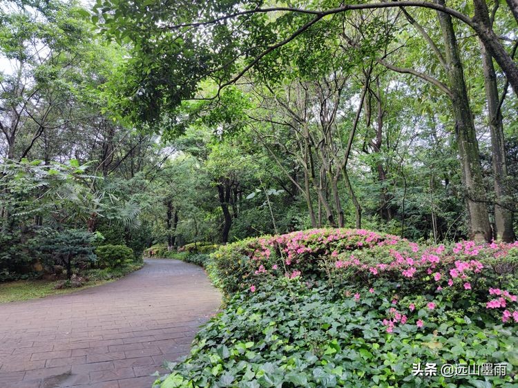 昆明世博园最值得看的有哪些景点,昆明世博园哪里看花最好看