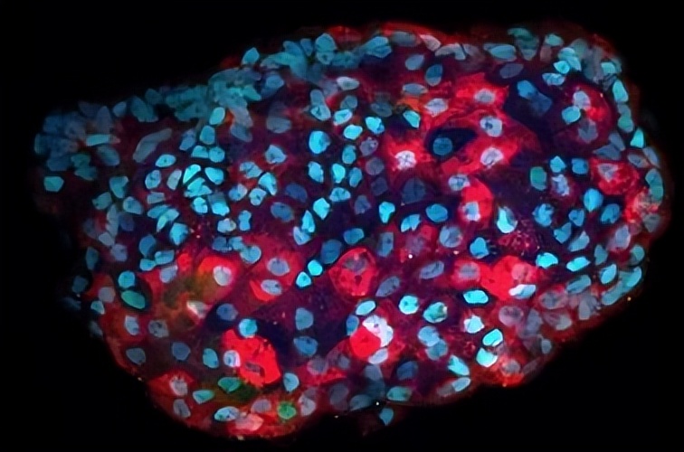 走进世界第一大学,走进世界大学城