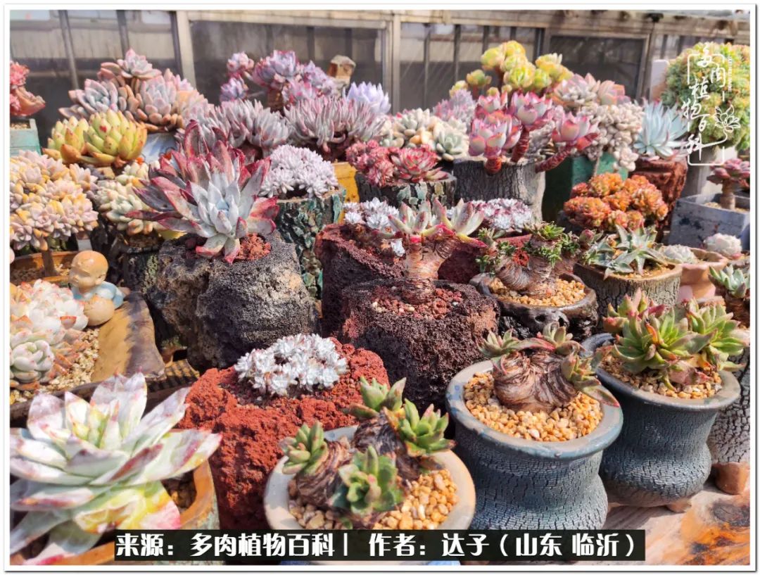 活在当下珍惜眼前平凡的生活,活在当下感慨万千