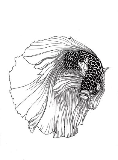 斗鱼米娜跳舞,斗鱼美女舞蹈