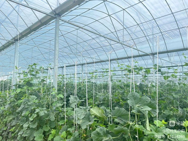 平安淮滨新变化丨淮滨县栏杆街道:喜迎二十大,夸夸我的家乡王湾新变化