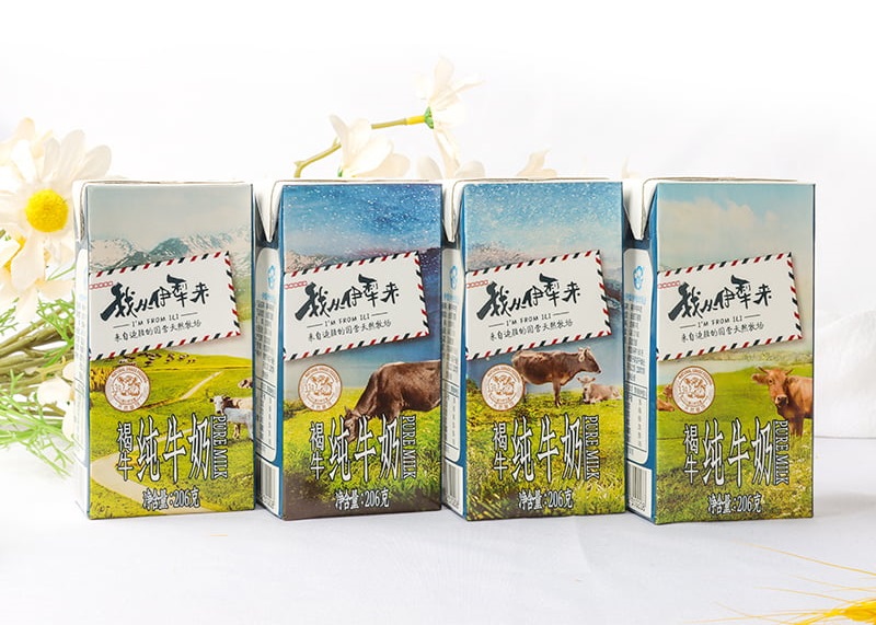 伊犁褐牛配西门塔尔牛怎么样,新疆褐牛奶与其他奶区别