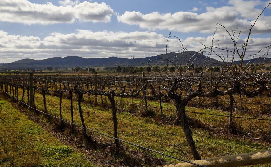 出国打工回国的感受,出国留学打工的真实感受