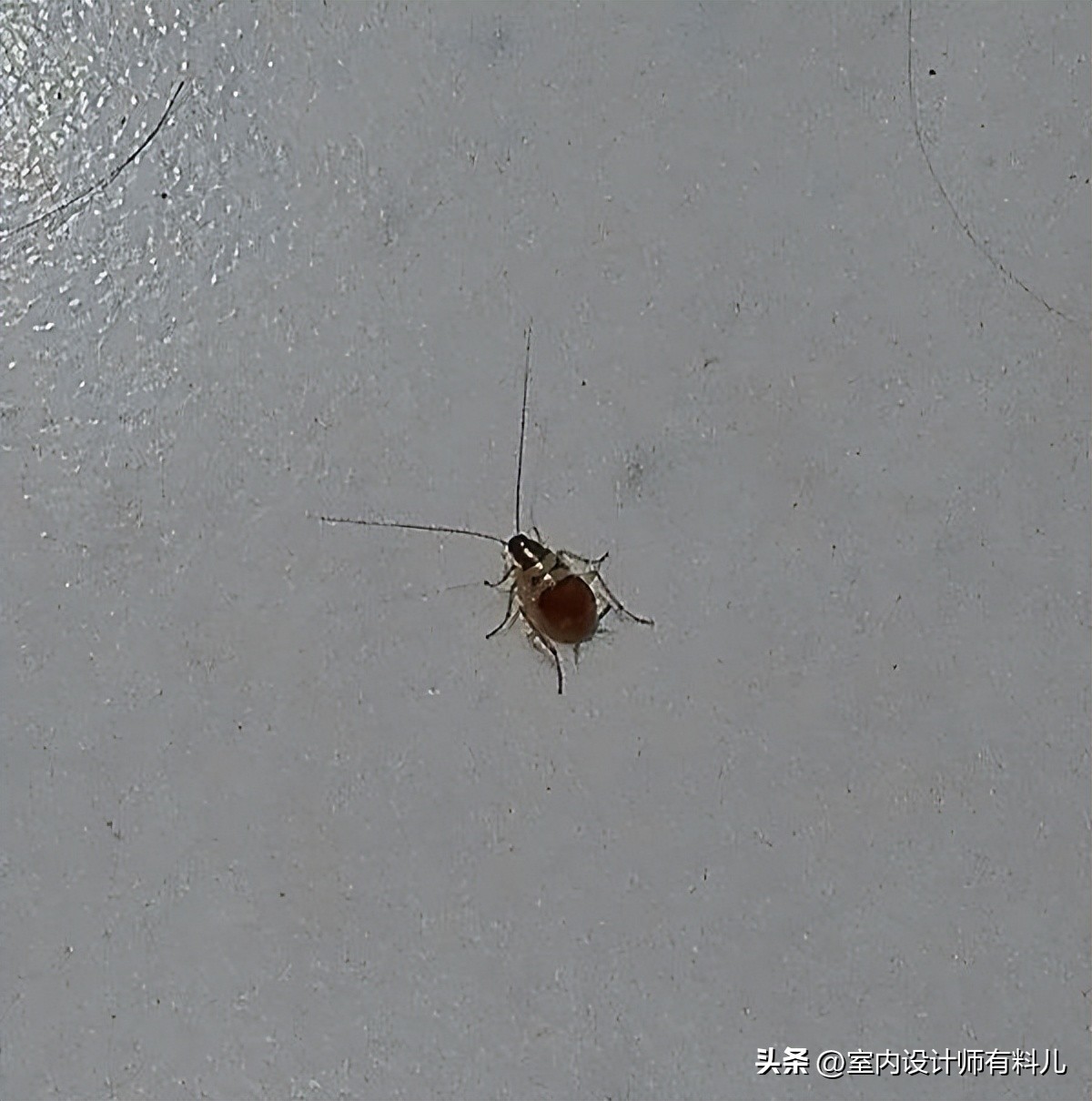 卫生间里撒一把食盐真是太聪明了,卫生间里撒把盐一年能省不少钱