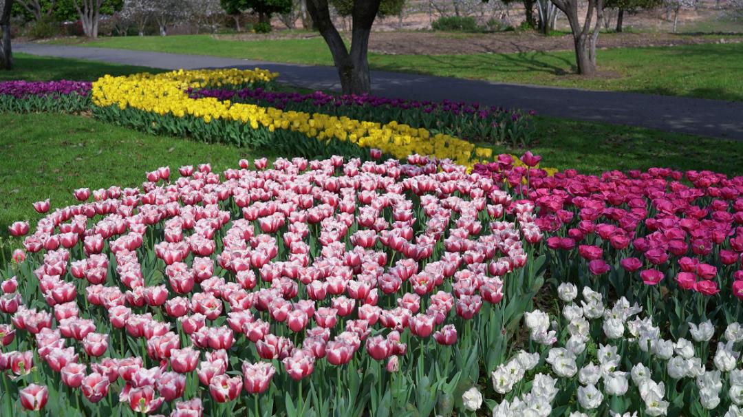 一起约“惠”吧！@上海、全国的游客朋友们，春日游鹰潭优惠来袭