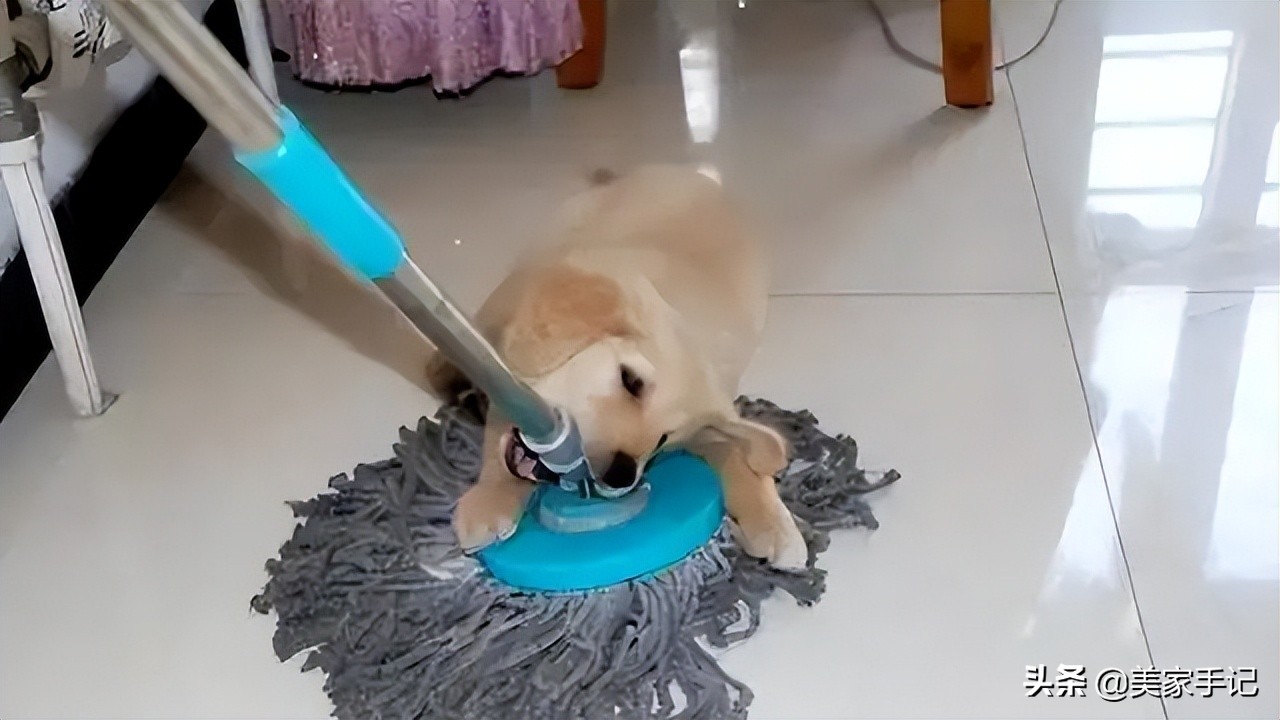 扫拖一体机器人清洁得干净吗,扫拖机器人好用吗