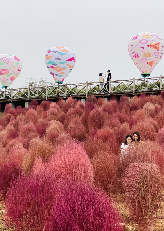 放假去哪里玩又便宜又好玩成都,假期去哪玩便宜又好玩儿成都