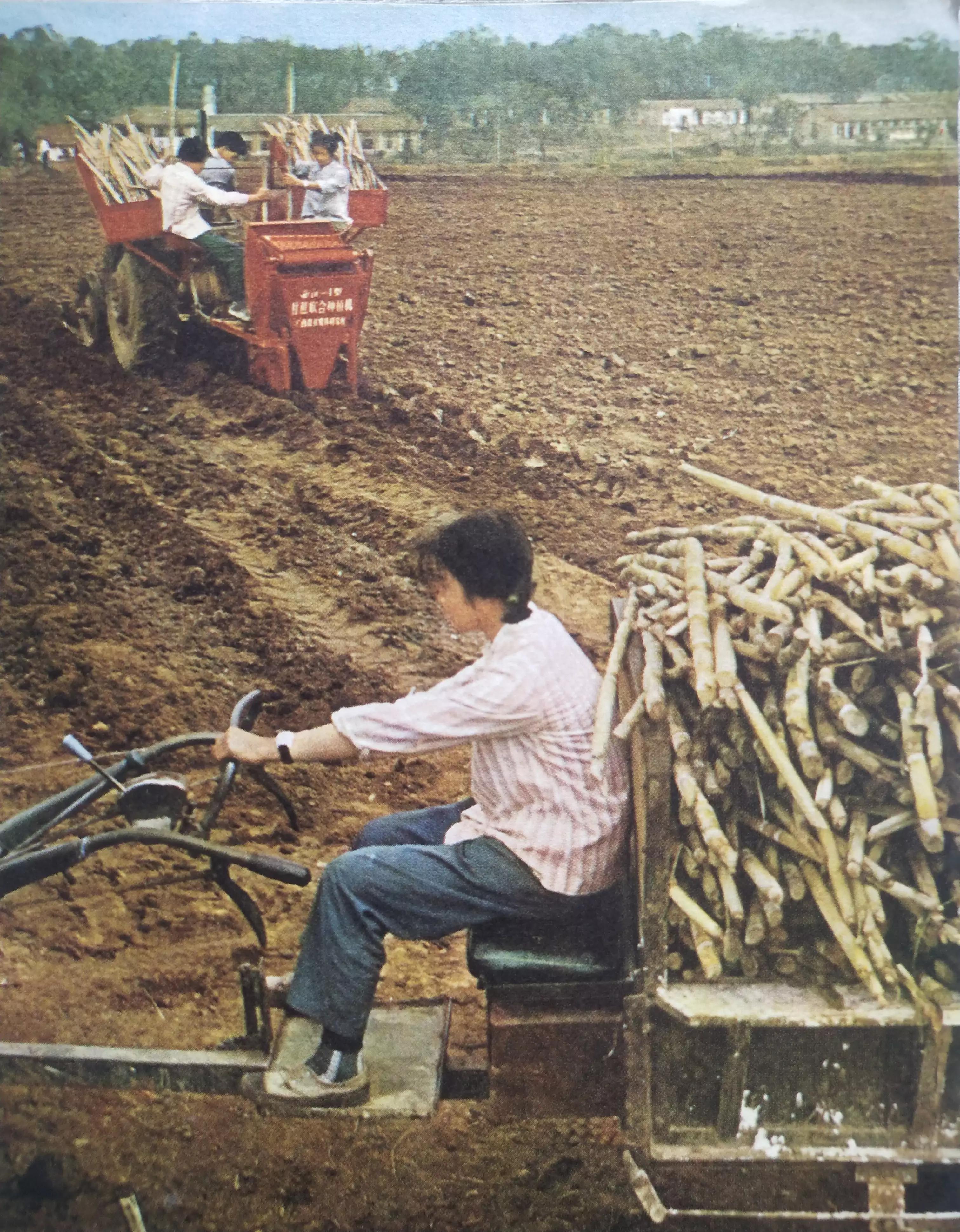 怀旧一下经典图片,怀旧经典图片欣赏