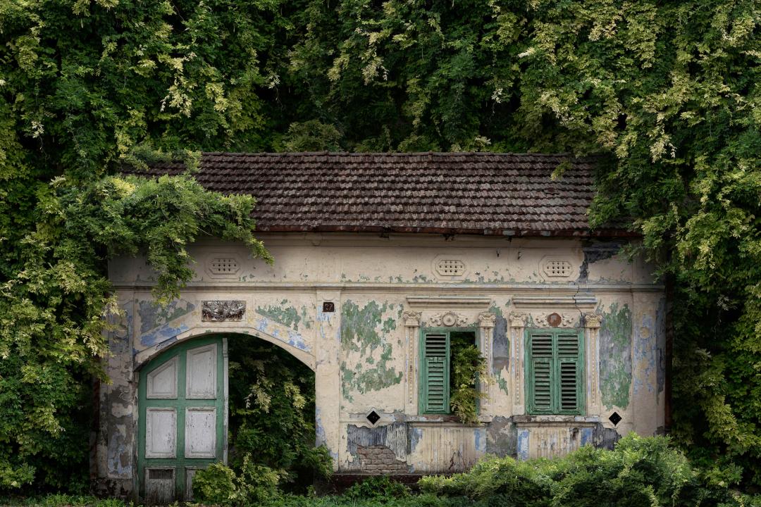 2022索尼摄影大赛征稿,2022索尼世界摄影大赛