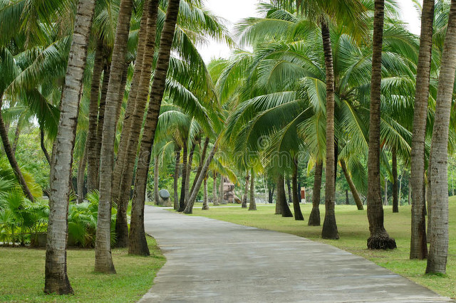 在海南买房7个真心建议,海南买房建议及注意事项