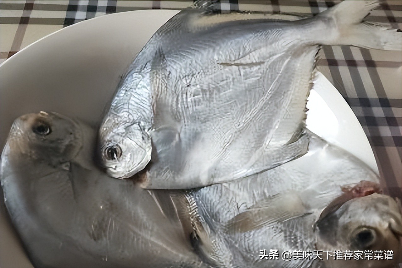 清蒸鲳鱼的家庭做法大全集,清蒸鲳鱼的家常做法大全图解