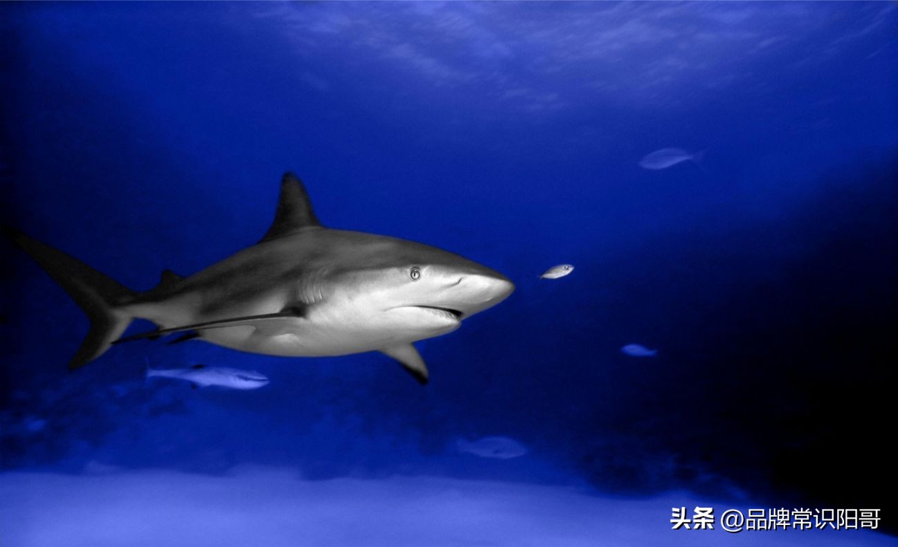 商业竞争对创造价值的影响,商业竞争的本质和思路