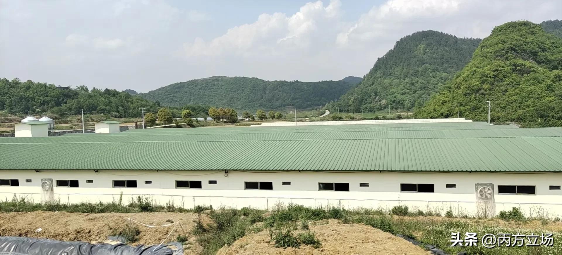 做饲料业务员怎么样,饲料业务员的真实生活