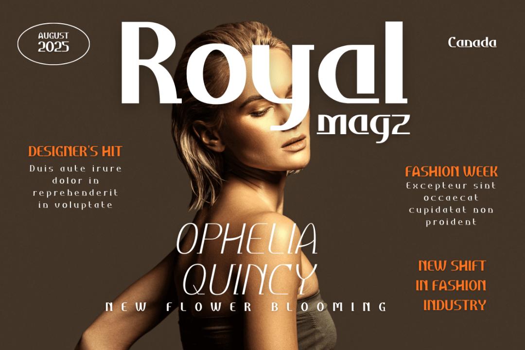 ttf纯英文好看字体,ttf英文字体