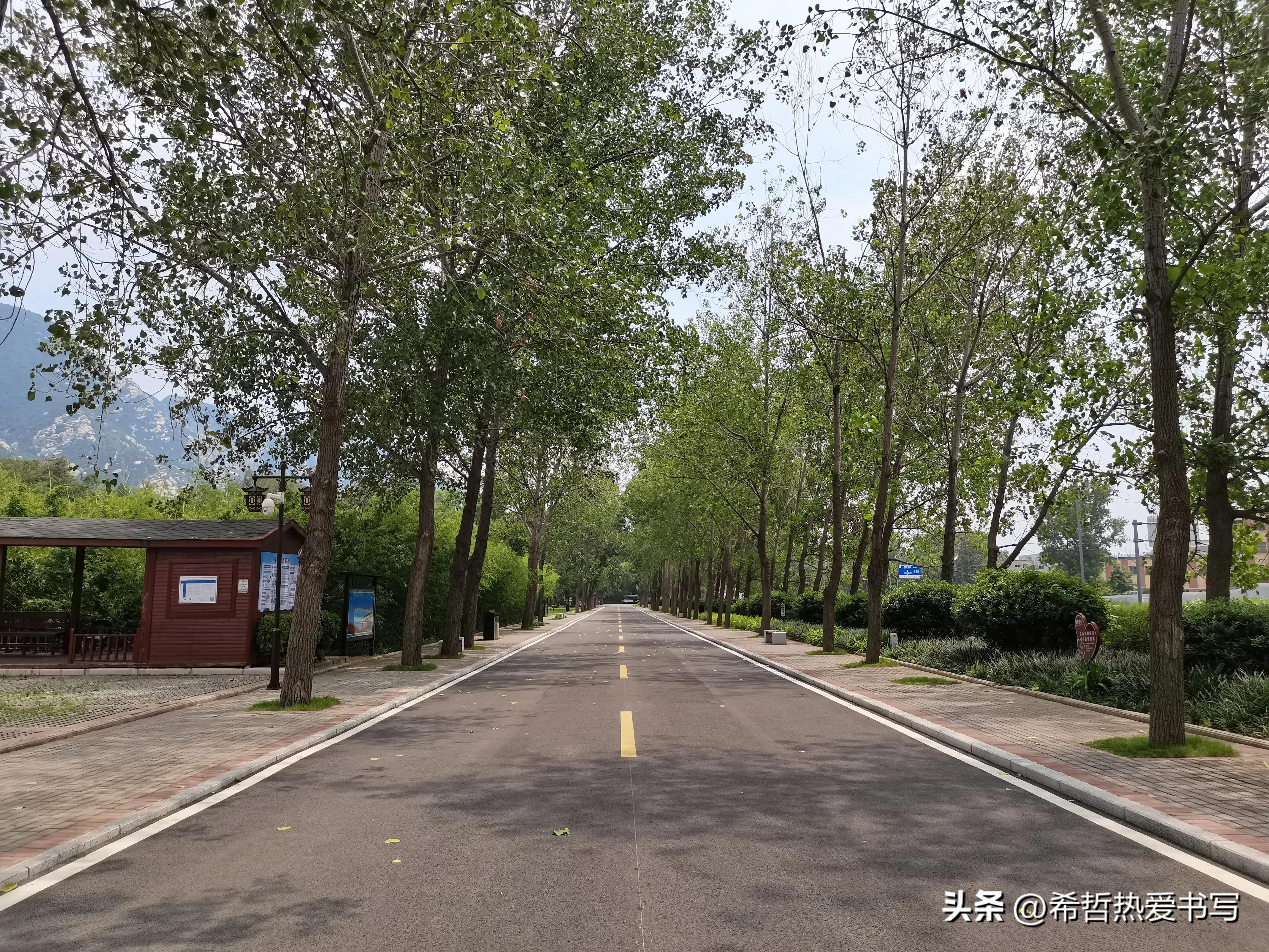 中国四大书院之一嵩阳书院,嵩阳书院应天书院和白鹿洞书院