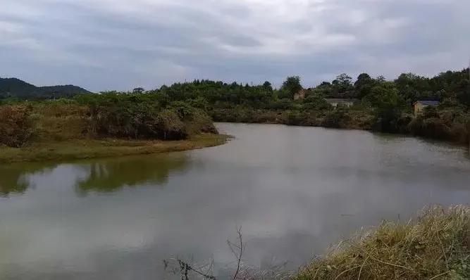 宁乡桃林镇,长沙市道林镇