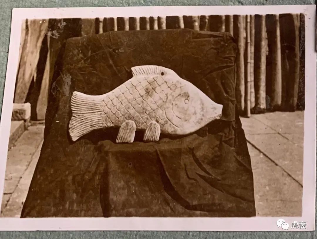 浙江嘉兴南湖记忆,嘉兴历史记忆视频