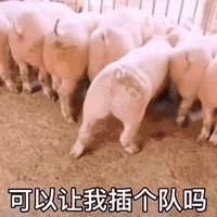 抖音黑人老嫂子搞笑表情包合集