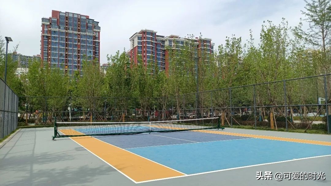 石家庄体育公园开放吗,石家庄体育公园里面有什么玩的