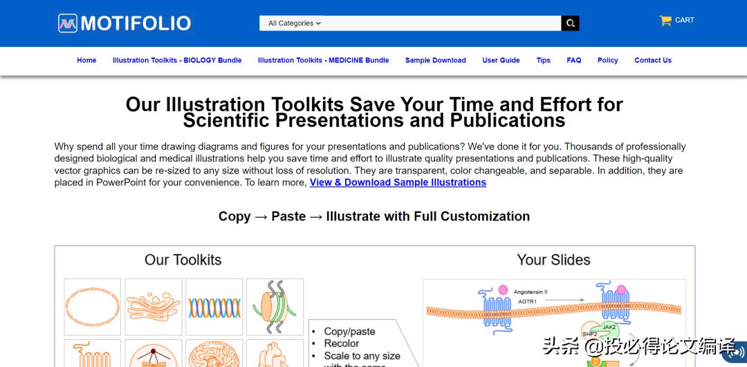 sci论文插图经典配色,sci中插图素材库