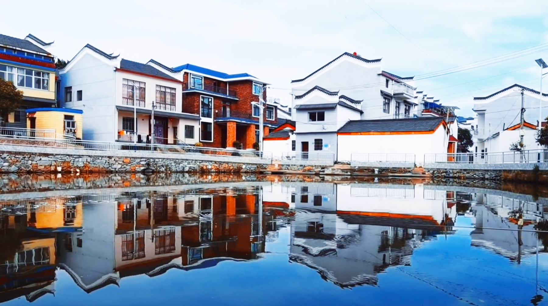 以产白茶为名，随拍武汉新洲这座美丽乡村，如山明水秀的世外桃源