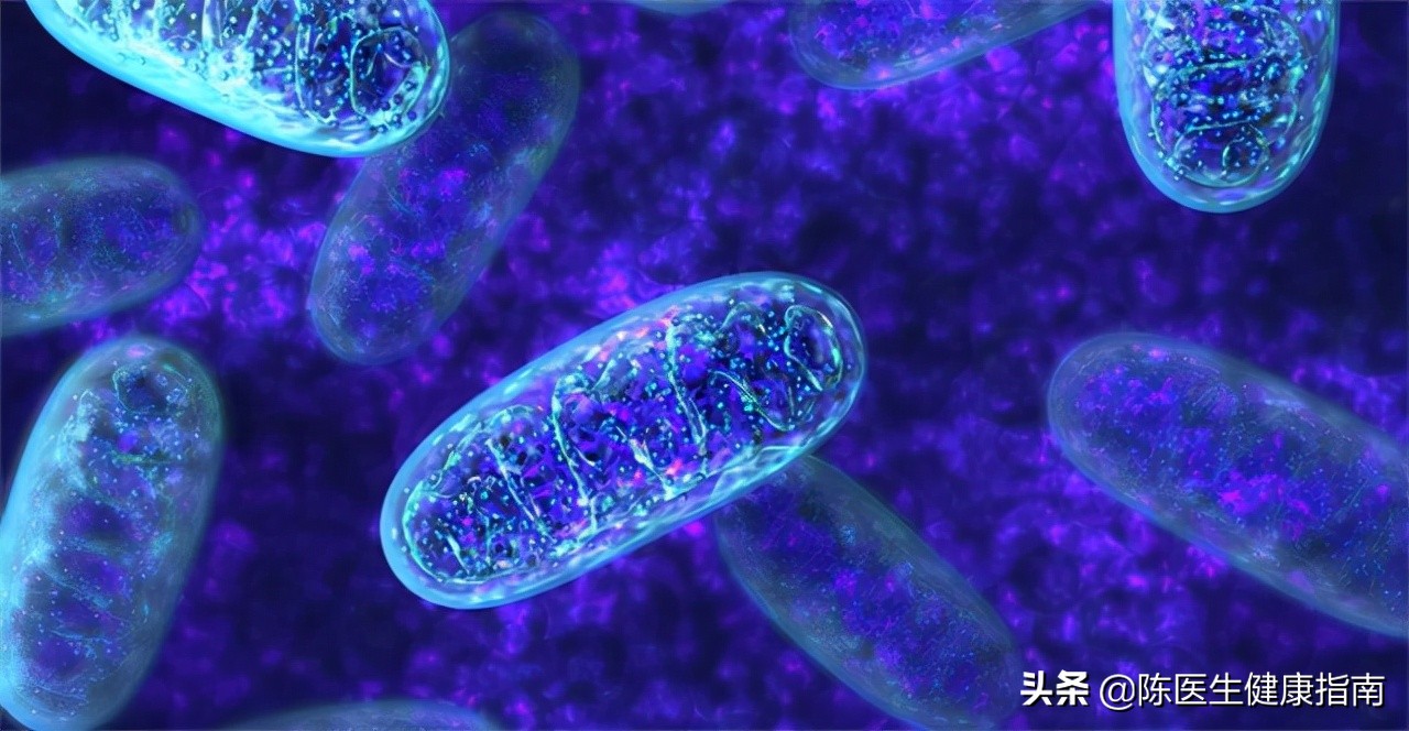 几毛钱的维生素b2治好病,几块钱一瓶的维生素b2