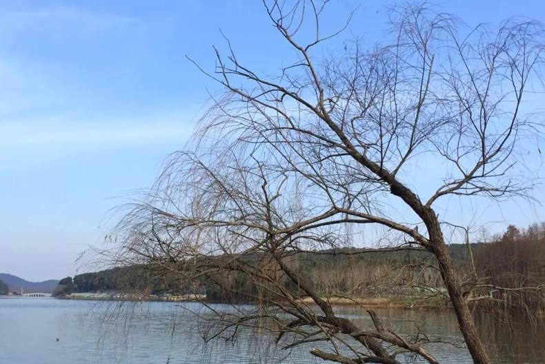 2023是千年一遇的黑兔年吗,2023年是不是黑兔年要注意些什么